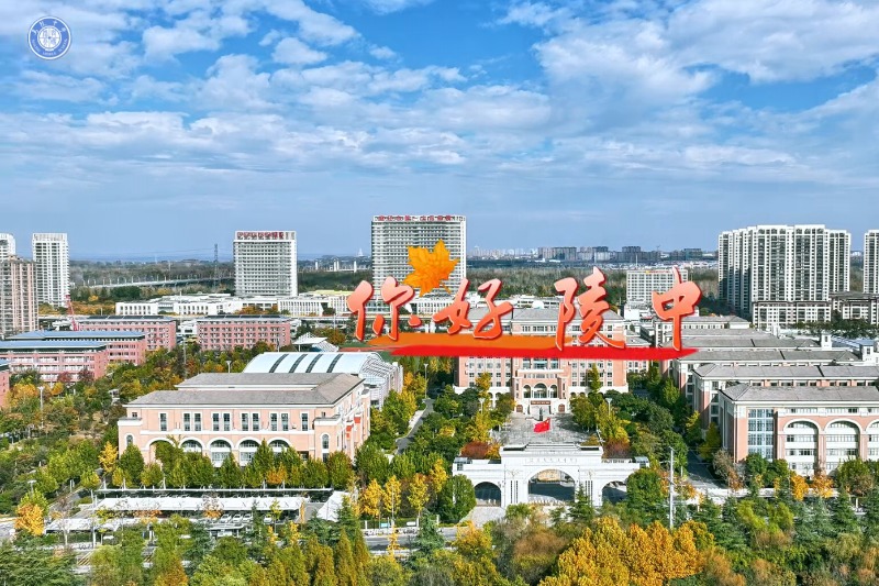 你好陵中-校园秋景